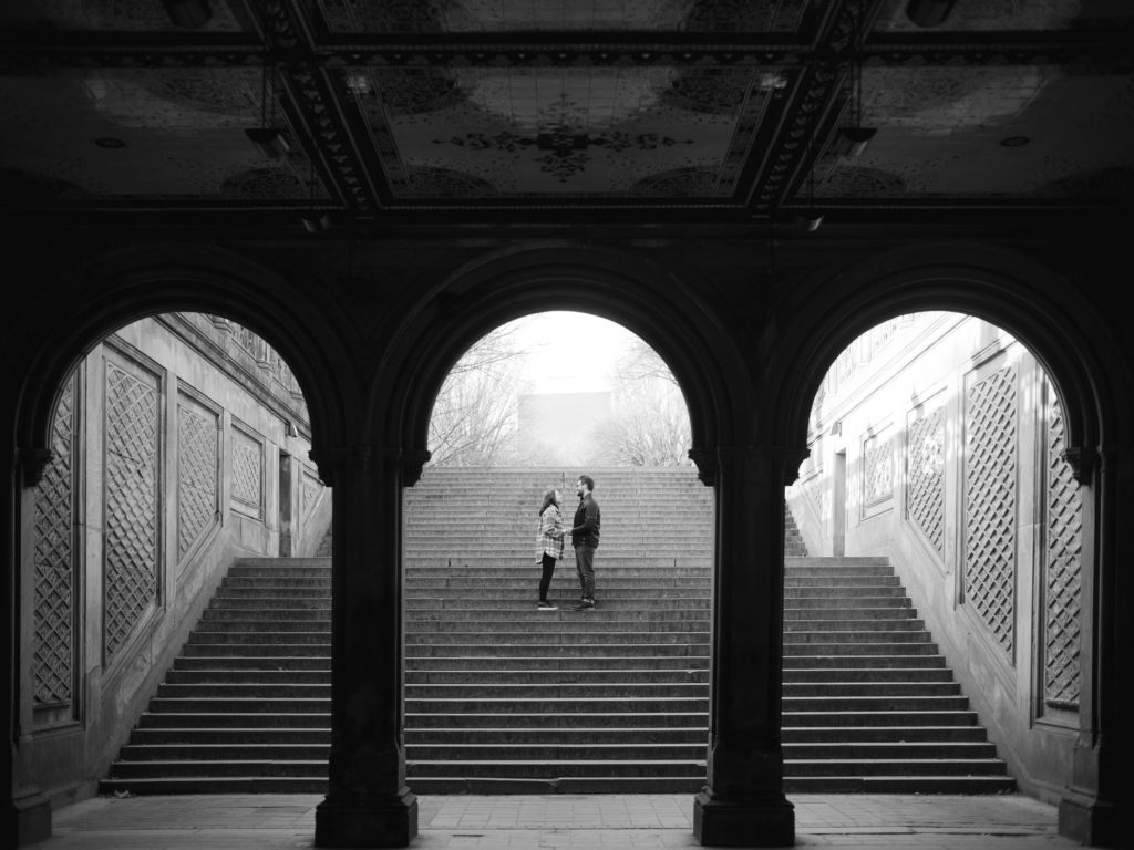 Bethesda Terrace Grand Staircase Engagement Photo